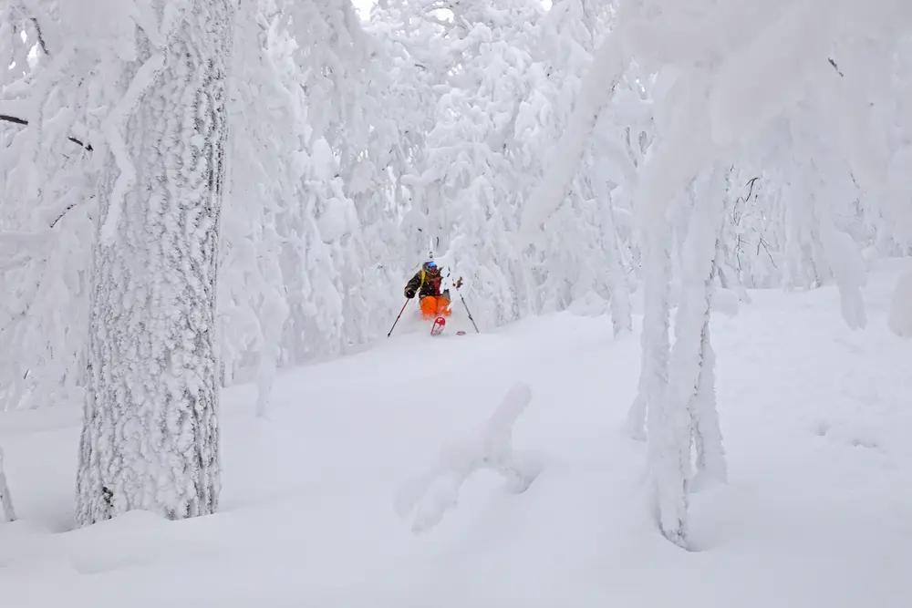 Sne og powder på Hokkaido i Japan