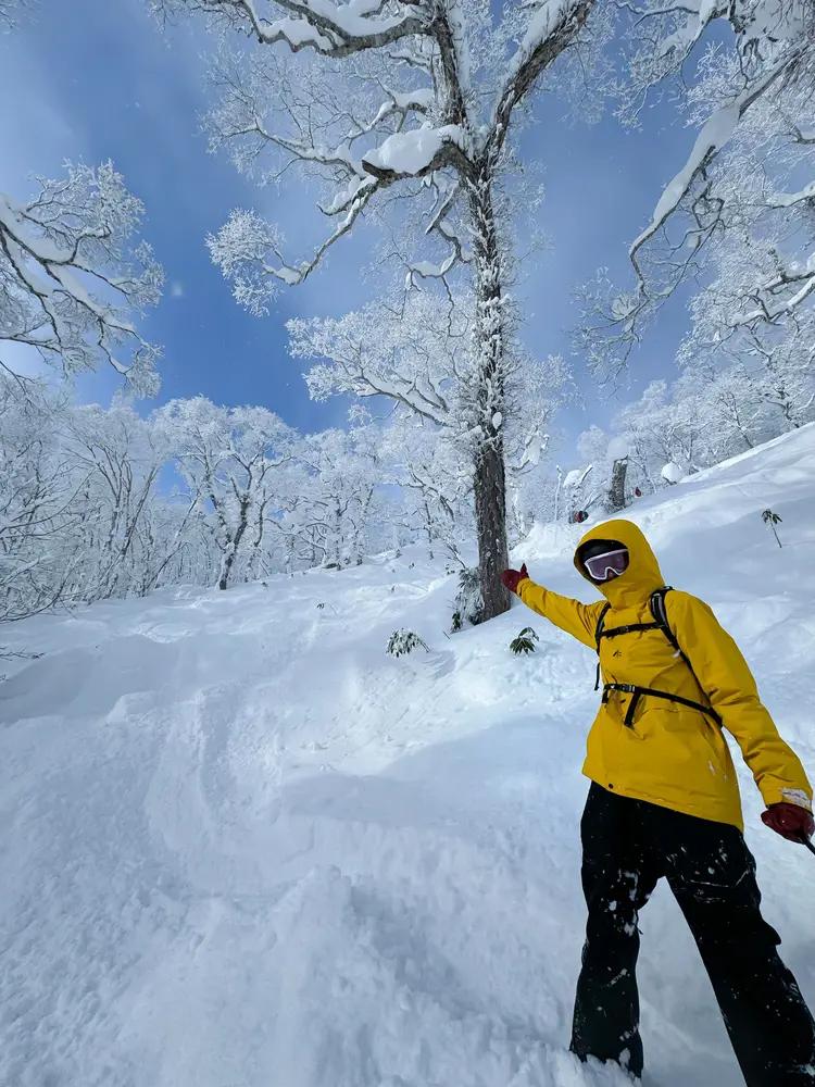 Snowboarder i dyb sne i Rusutsu på powder tur