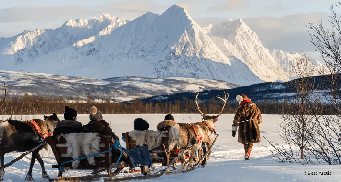 Reindeer Sami 1125X600 Krediteret